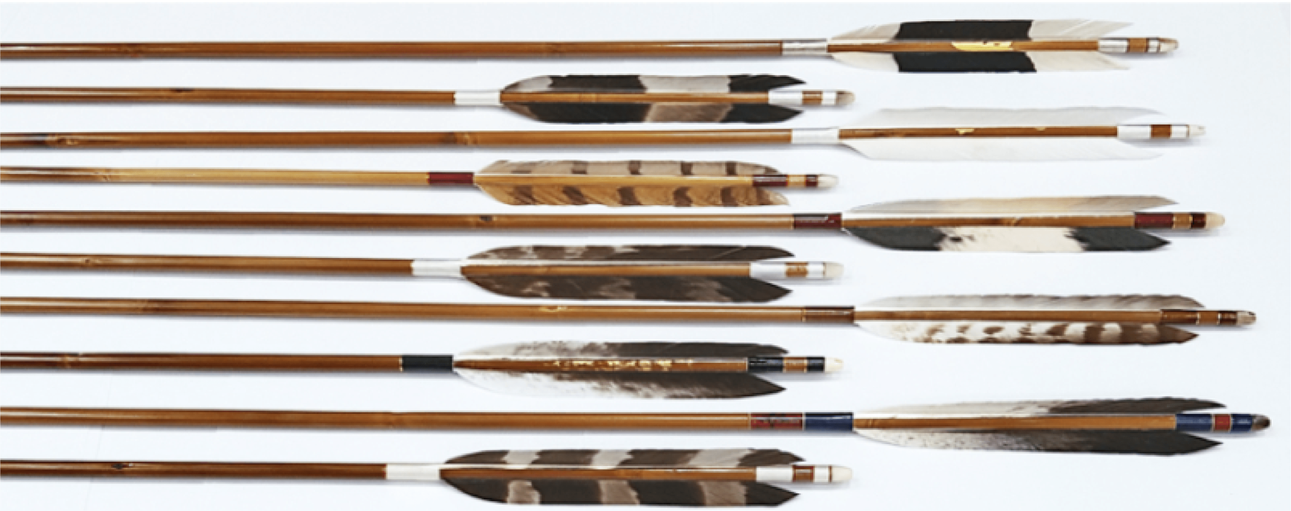 アセット 16@4x-8